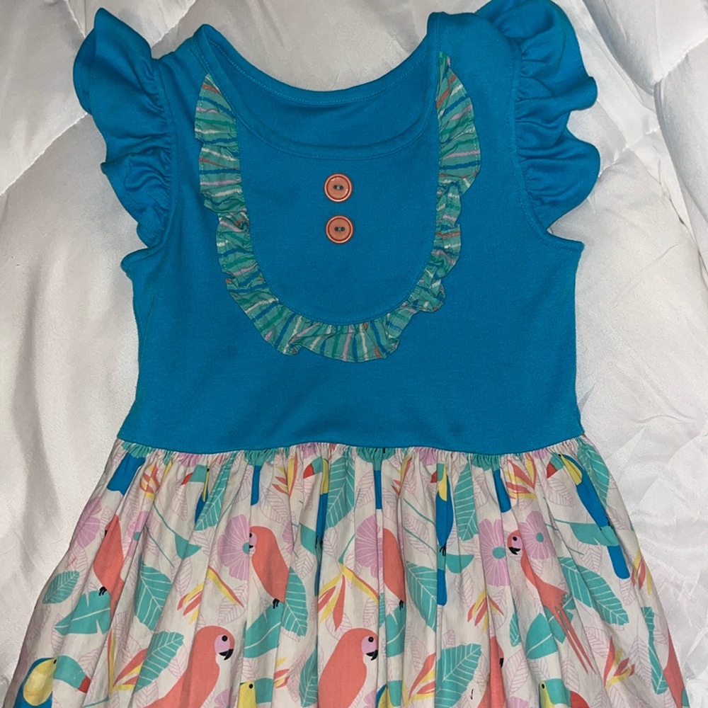 Boutique dress parrots 🦜